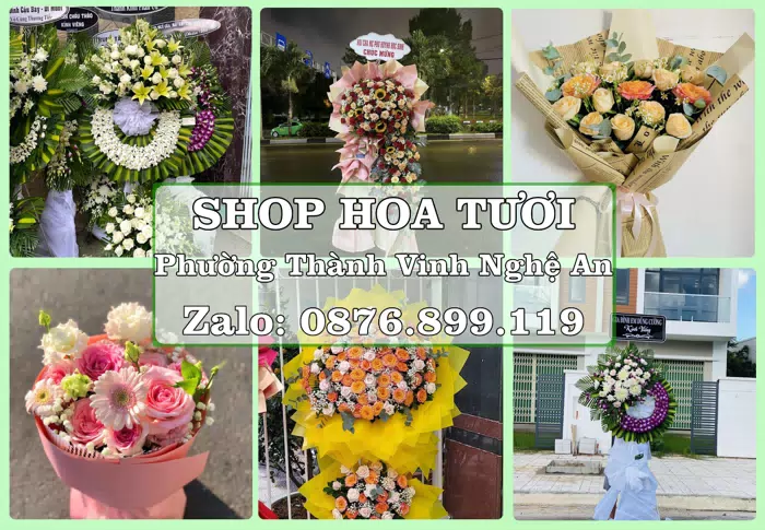 Shop hoa tươi tại Phường Thành Vinh Nghệ An – Hoa chúc mừng, quà biếu theo nhu cầu · ảnh 1
