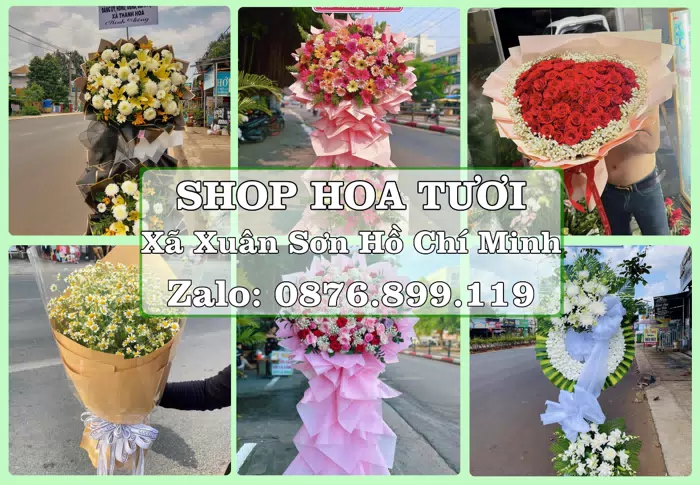 Shop hoa tươi tại Xã Xuân Sơn Hồ Chí Minh – Tư vấn hoa và trái cây theo ngân sách · ảnh 1