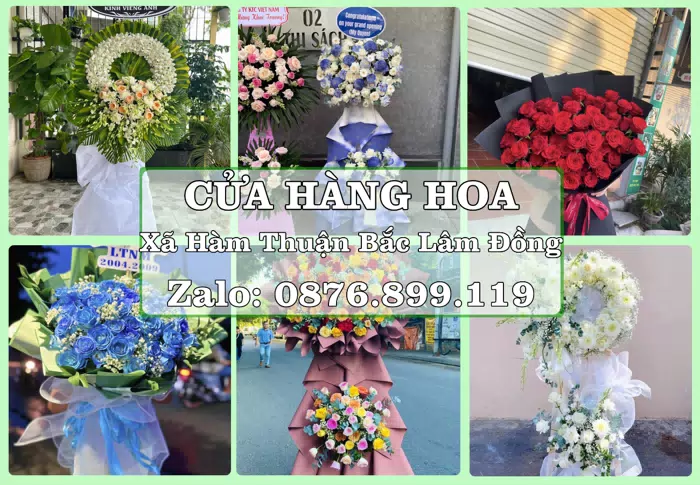 Shop hoa tươi tại Xã Hàm Thuận Bắc Lâm Đồng – Chọn hoa, chọn giỏ quà thật chu đáo · ảnh 1