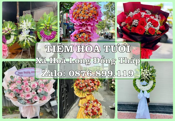 Shop hoa tươi tại Xã Hoà Long Đồng Tháp – Hoa xinh, trái cây cho những dịp gần gũi · ảnh 1