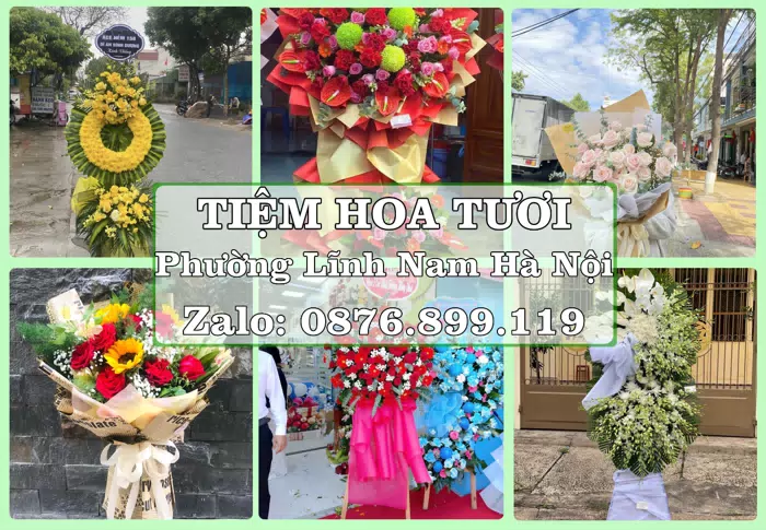 Shop hoa tươi tại Phường Lĩnh Nam Hà Nội – Hoa xinh, trái cây cho những dịp gần gũi · ảnh 1