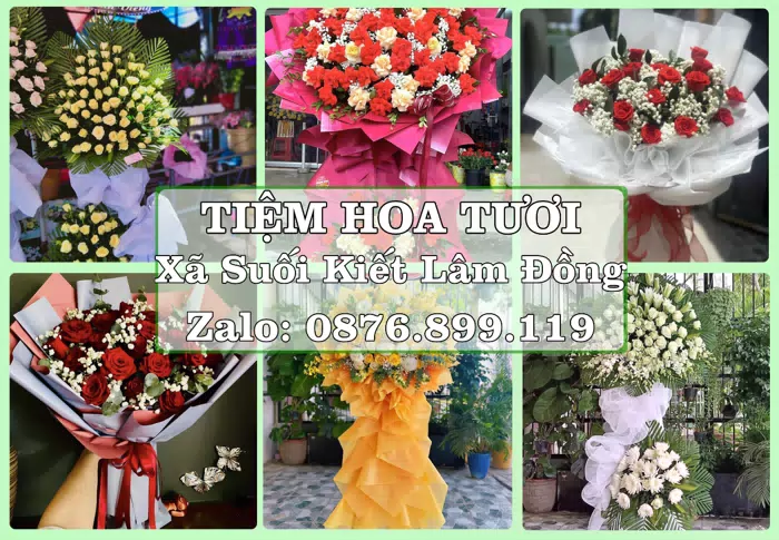 Shop hoa tươi tại Xã Suối Kiết Lâm Đồng – Hoa xinh, trái cây cho những dịp gần gũi · ảnh 1