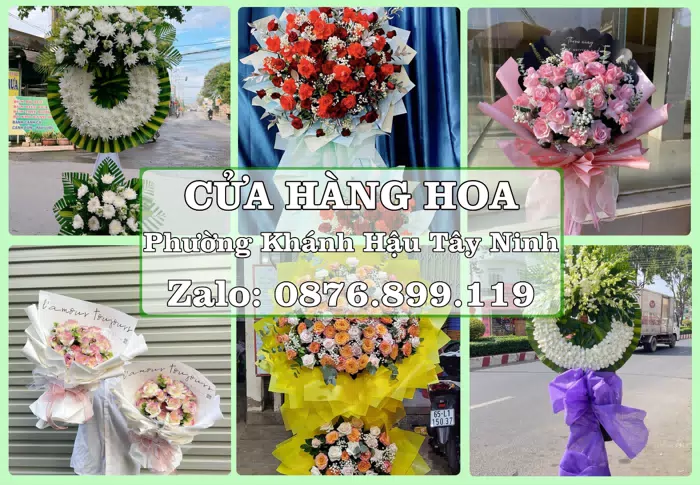 Shop hoa tươi tại Phường Khánh Hậu Tây Ninh – Hoa tươi và trái cây, dễ chọn theo từng dịp · ảnh 1