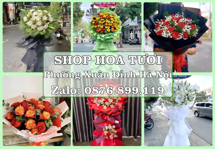 Shop hoa tươi tại Phường Xuân Đỉnh Hà Nội – Chọn hoa, chọn giỏ quà thật chu đáo · ảnh 1