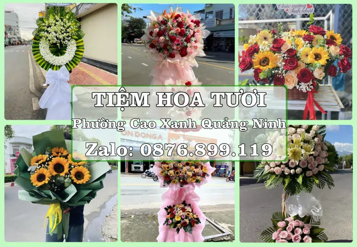 Shop hoa tươi tại Phường Cao Xanh Quảng Ninh – Hoa tươi và trái cây, dễ chọn theo từng dịp · ảnh 1
