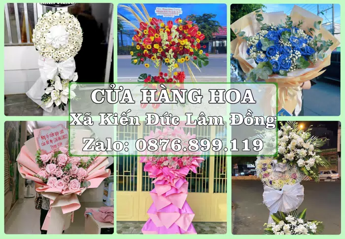 Shop hoa tươi tại Xã Kiến Đức Lâm Đồng – Chọn hoa, chọn giỏ quà thật chu đáo · ảnh 1