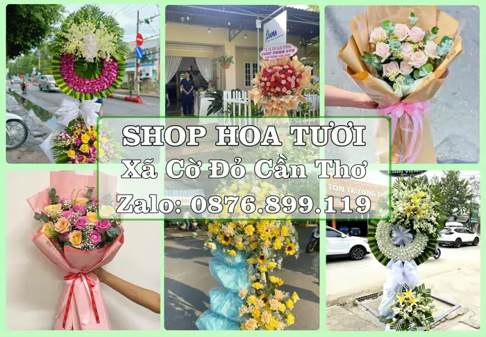 Shop hoa tươi tại Xã Cờ Đỏ Cần Thơ – Một món quà vừa ý cho ngày đáng nhớ · ảnh 1