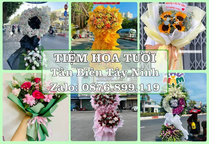 Shop hoa tươi tại Tân Biên Tây Ninh – Tư vấn hoa và trái cây theo ngân sách · ảnh 1
