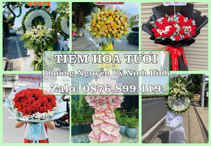 Shop hoa tươi tại Phường Nguyễn Uý Ninh Bình – Hoa tươi và trái cây, dễ chọn theo từng dịp · ảnh 1