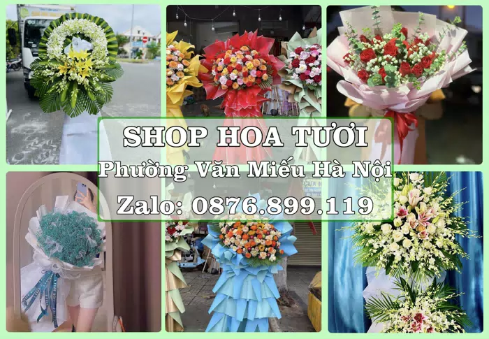 Shop hoa tươi tại Phường Văn Miếu Hà Nội – Hoa tươi và trái cây, dễ chọn theo từng dịp · ảnh 1