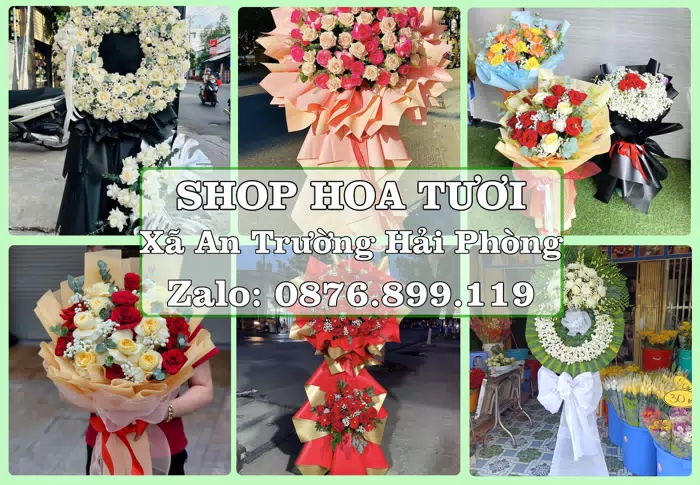 Shop hoa tươi tại Xã An Trường Hải Phòng – Gửi lời quan tâm bằng hoa và trái cây · ảnh 1
