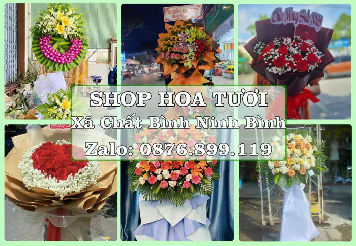 Shop hoa tươi tại Xã Chất Bình Ninh Bình – Hoa xinh, trái cây cho những dịp gần gũi · ảnh 1