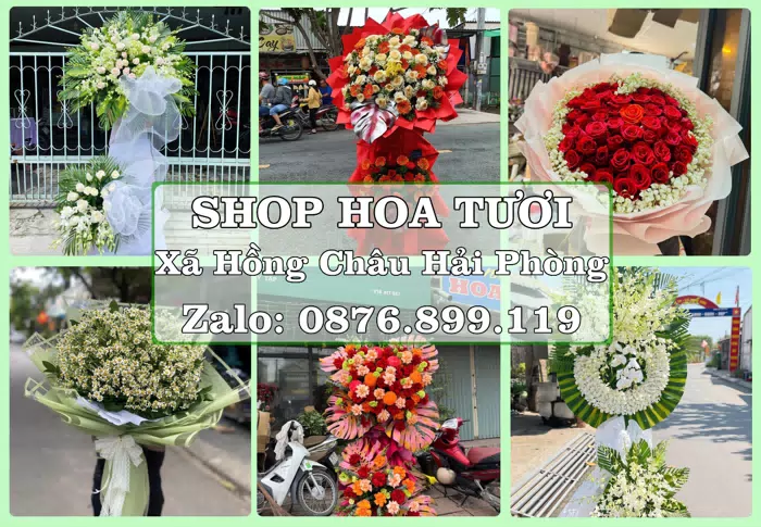 Shop hoa tươi tại Xã Hồng Châu Hải Phòng – Hoa xinh, trái cây cho những dịp gần gũi · ảnh 1