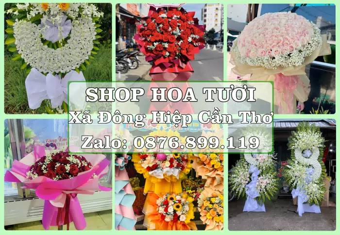 Shop hoa tươi tại Xã Đông Hiệp Cần Thơ – Từ bó hoa tặng đến giỏ trái cây biếu · ảnh 1
