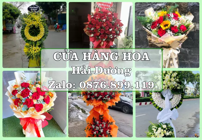 Shop hoa tươi tại Hải Dương – Từ bó hoa tặng đến giỏ trái cây biếu · ảnh 1