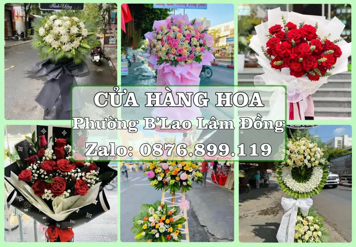 Shop hoa tươi tại Phường B’Lao Lâm Đồng – Gửi lời quan tâm bằng hoa và trái cây · ảnh 1