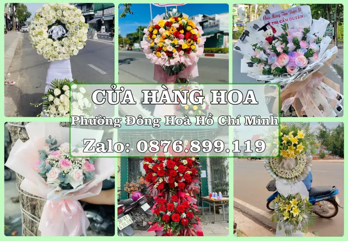 Shop hoa tươi tại Phường Đông Hoà Hồ Chí Minh – Hoa xinh, trái cây cho những dịp gần gũi · ảnh 1
