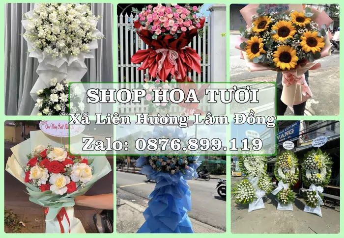 Shop hoa tươi tại Xã Liên Hương Lâm Đồng – Hoa tươi và trái cây, dễ chọn theo từng dịp · ảnh 1