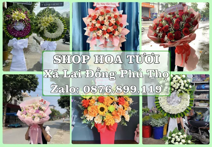 Shop hoa tươi tại Xã Lai Đồng Phú Thọ – Từ bó hoa tặng đến giỏ trái cây biếu · ảnh 1