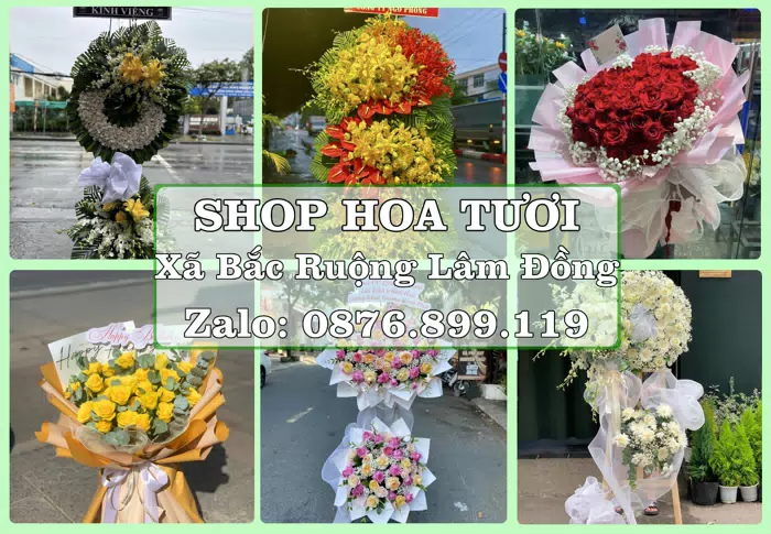 Shop hoa tươi tại Xã Bắc Ruộng Lâm Đồng – Hoa xinh, trái cây cho những dịp gần gũi · ảnh 1