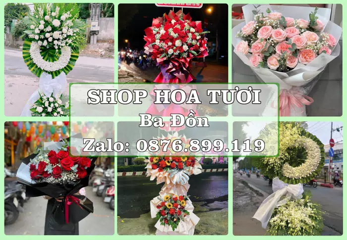 Shop hoa tươi tại Ba Đồn – Chọn hoa, chọn giỏ quà thật chu đáo · ảnh 1
