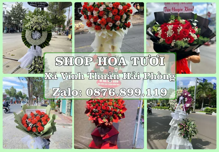 Shop hoa tươi tại Xã Vĩnh Thuận Hải Phòng – Từ bó hoa tặng đến giỏ trái cây biếu · ảnh 1