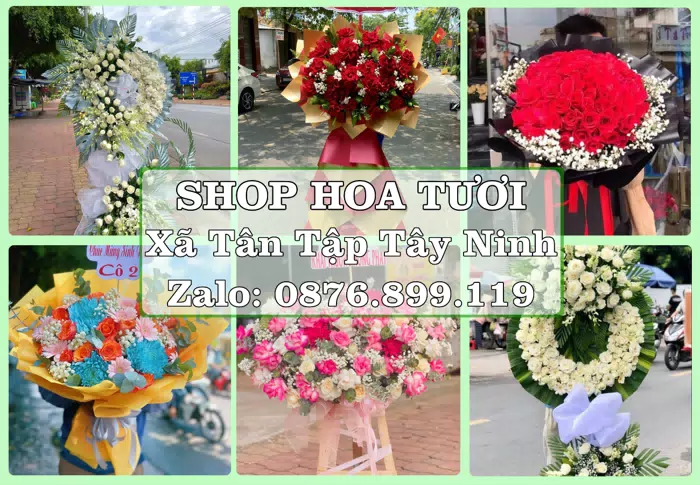 Shop hoa tươi tại Xã Tân Tập Tây Ninh – Tìm món quà hợp dịp, hợp người nhận · ảnh 1