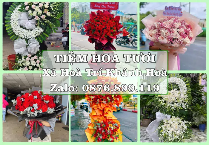 Shop hoa tươi tại Xã Hoà Trí Khánh Hoà – Tư vấn hoa và trái cây theo ngân sách · ảnh 1