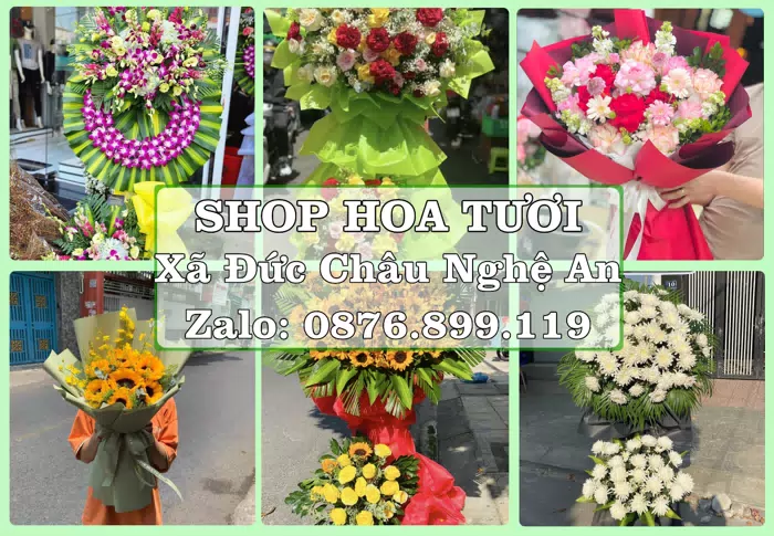 Shop hoa tươi tại Xã Đức Châu Nghệ An – Tìm món quà hợp dịp, hợp người nhận · ảnh 1