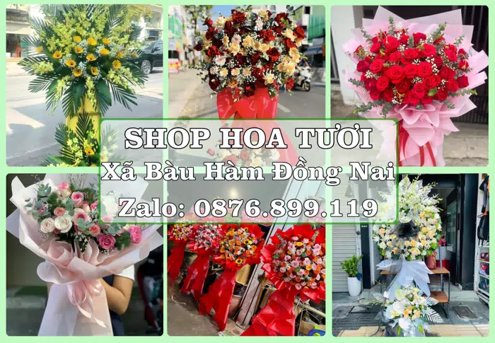 Shop hoa tươi tại Xã Bàu Hàm Đồng Nai – Hoa tươi và trái cây, dễ chọn theo từng dịp · ảnh 1