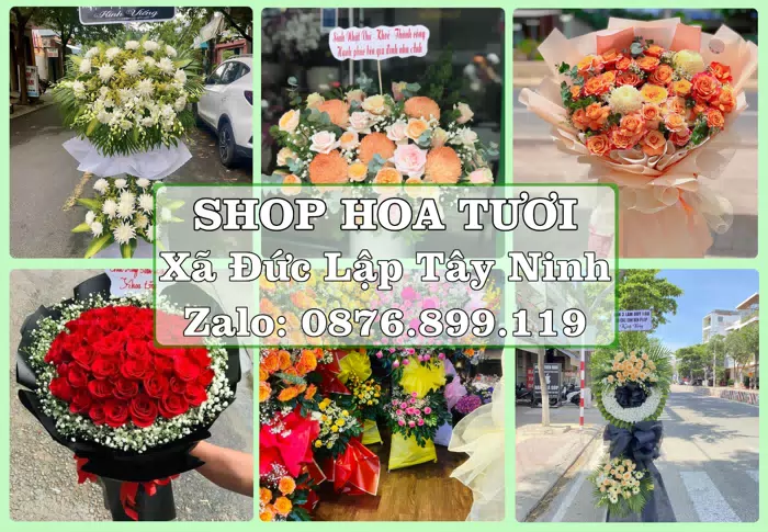 Shop hoa tươi tại Xã Đức Lập Tây Ninh – Tư vấn hoa và trái cây theo ngân sách · ảnh 1