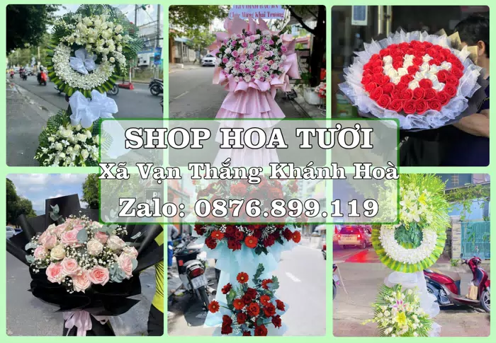 Shop hoa tươi tại Xã Vạn Thắng Khánh Hoà – Món quà chỉn chu từ những điều nhỏ · ảnh 1