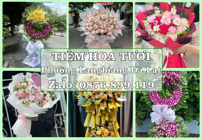 Shop hoa tươi tại Phường Langbiang Đà Lạt – Gửi lời quan tâm bằng hoa và trái cây · ảnh 1
