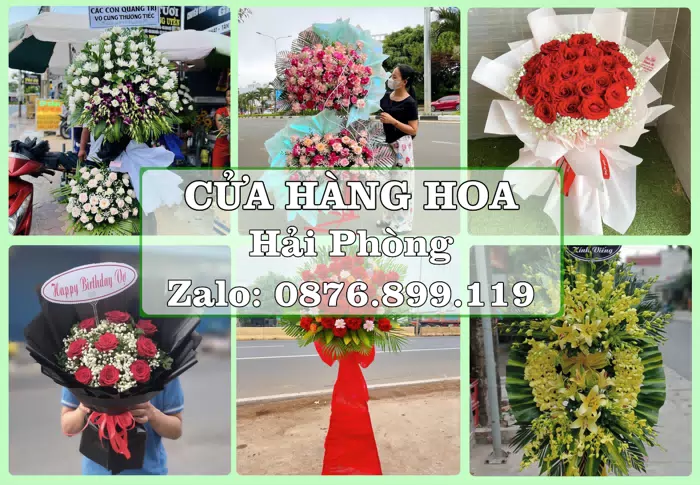 Shop hoa tươi tại Hải Phòng – Tư vấn hoa và trái cây theo ngân sách · ảnh 1