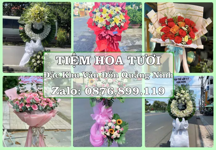 Shop hoa tươi tại Đặc Khu Vân Đồn Quảng Ninh – Từ bó hoa tặng đến giỏ trái cây biếu · ảnh 1