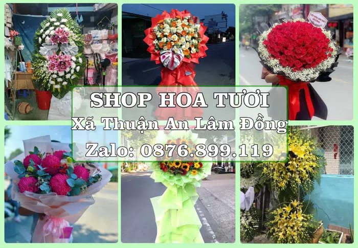 Shop hoa tươi tại Xã Thuận An Lâm Đồng – Đặt quà gửi người thân từ xa · ảnh 1