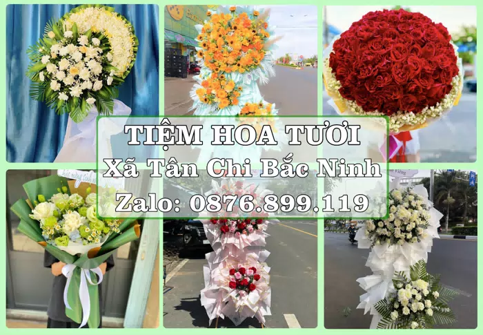Shop hoa tươi tại Xã Tân Chi Bắc Ninh – Từ bó hoa tặng đến giỏ trái cây biếu · ảnh 1