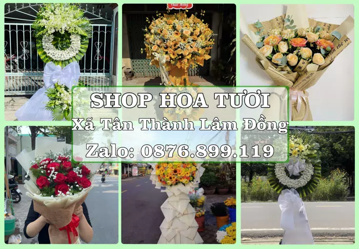 Shop hoa tươi tại Xã Tân Thành Lâm Đồng – Tư vấn hoa và trái cây theo ngân sách · ảnh 1