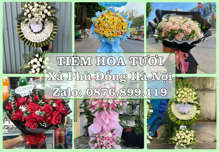 Shop hoa tươi tại Xã Phù Đổng Hà Nội – Từ bó hoa tặng đến giỏ trái cây biếu · ảnh 1