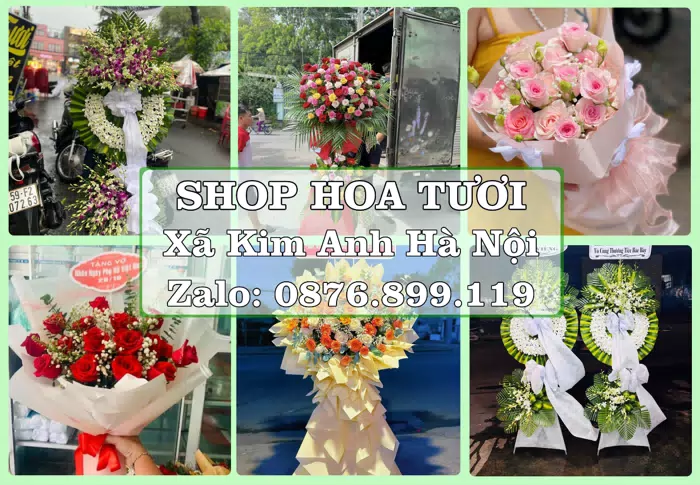 Shop hoa tươi tại Xã Kim Anh Hà Nội – Hoa xinh, trái cây cho những dịp gần gũi · ảnh 1