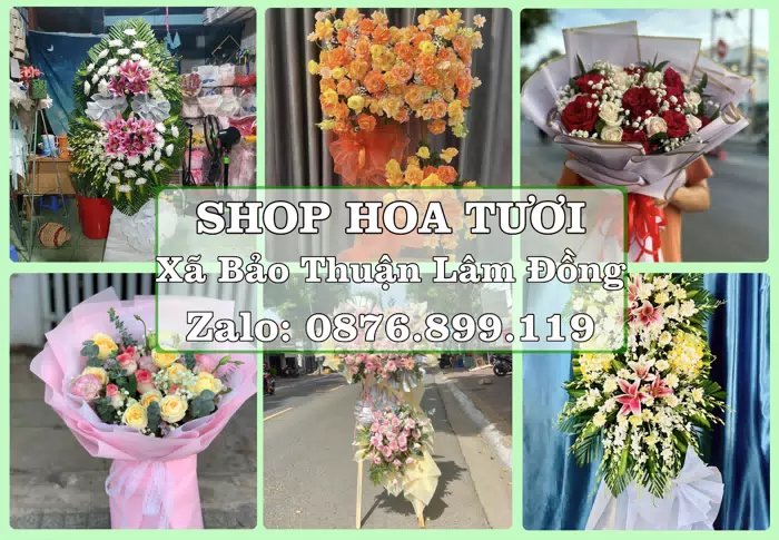 Shop hoa tươi tại Xã Bảo Thuận Lâm Đồng – Hoa chúc mừng, quà biếu theo nhu cầu · ảnh 1