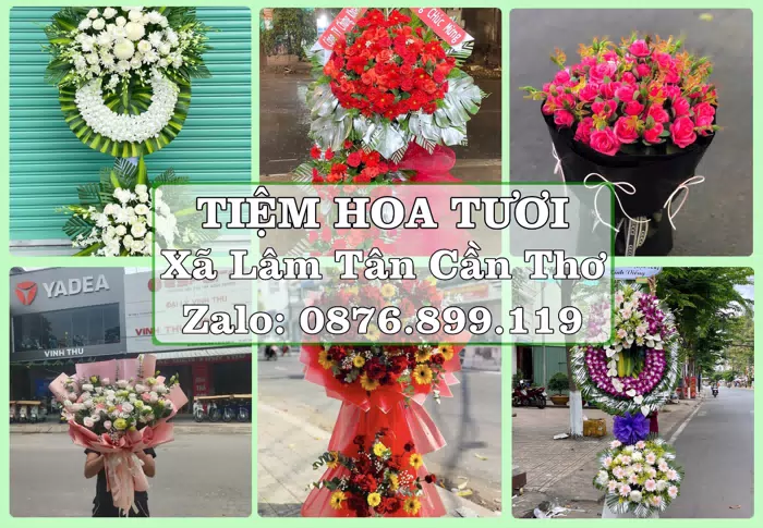 Shop hoa tươi tại Xã Lâm Tân Cần Thơ – Món quà chỉn chu từ những điều nhỏ · ảnh 1
