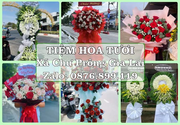 Shop hoa tươi tại Xã Chư Prông Gia Lai – Hoa xinh, trái cây cho những dịp gần gũi · ảnh 1