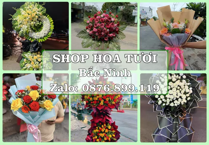 Shop hoa tươi tại Bắc Ninh – Món quà chỉn chu từ những điều nhỏ · ảnh 1