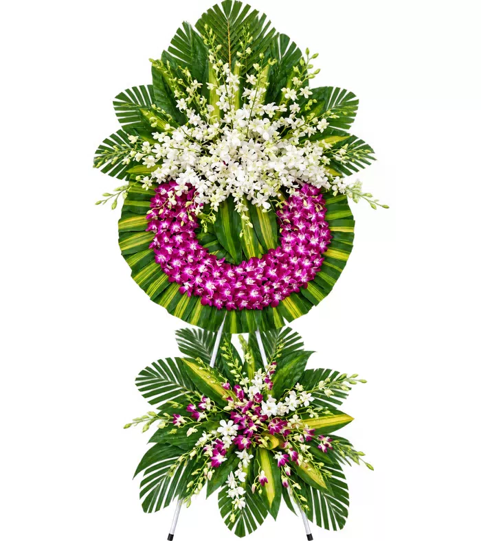 Lời Sẻ Chia – kệ hoa phân ưu trắng tím · 1905