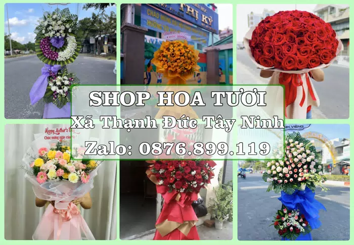 Shop hoa tươi tại Xã Thạnh Đức Tây Ninh – Gửi lời quan tâm bằng hoa và trái cây · ảnh 1