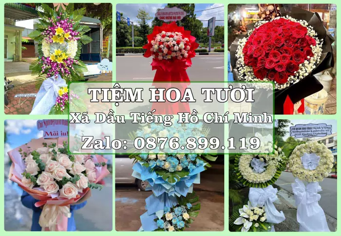 Shop hoa tươi tại Xã Dầu Tiếng Hồ Chí Minh – Hoa tươi và trái cây, dễ chọn theo từng dịp · ảnh 1