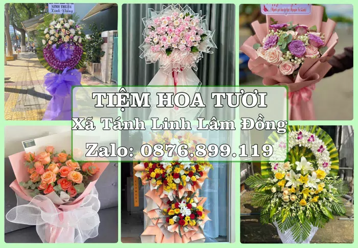 Shop hoa tươi tại Xã Tánh Linh Lâm Đồng – Chọn hoa, chọn giỏ quà thật chu đáo · ảnh 1