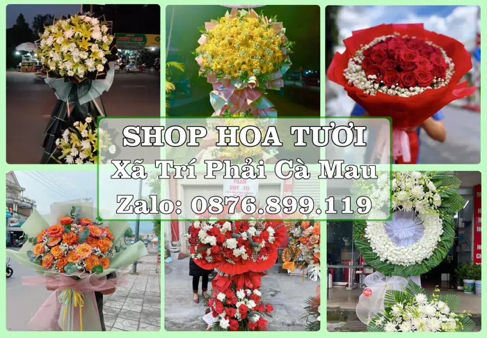 Shop hoa tươi tại Xã Trí Phải Cà Mau – Chọn hoa, chọn giỏ quà thật chu đáo · ảnh 1