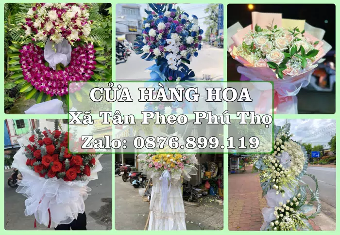 Shop hoa tươi tại Xã Tân Pheo Phú Thọ – Từ bó hoa tặng đến giỏ trái cây biếu · ảnh 1
